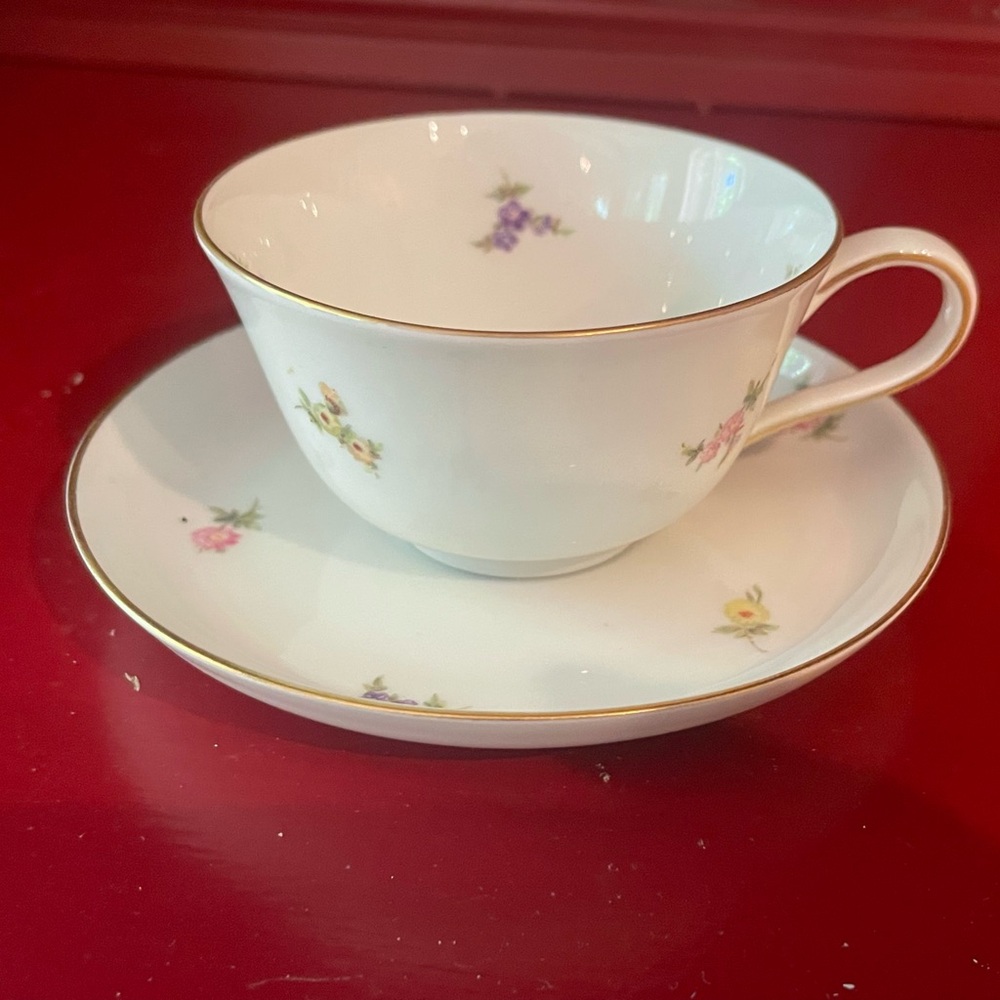 Helena Vintage Floral Teacup & Saucer Set